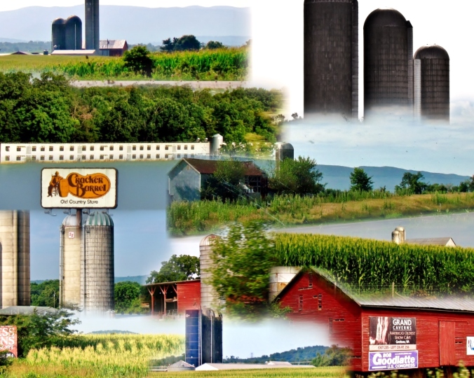 farm country collage